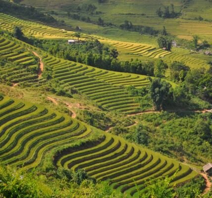 Valley below Topas Ecolodge, Lao Cai Province, Vietnam