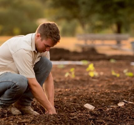 man in white shirt planting at daytime