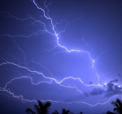 a lightning storm is seen over palm trees