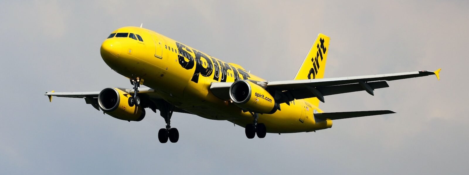 a yellow and black airplane flying